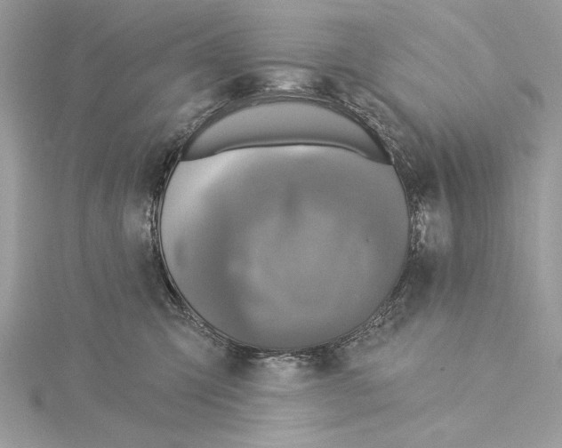 X0000115360423200912011117