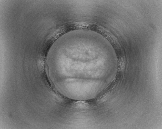 X0000115360427200912011117