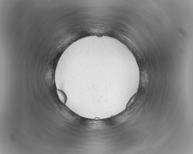 X0000115360428200912011117