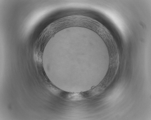 X0000115360431200912011117