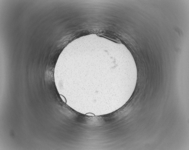 X0000115360432200912011117