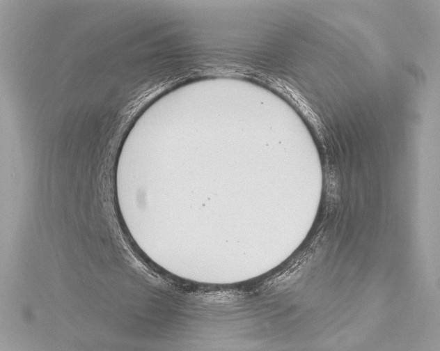 X0000115360433200912011116