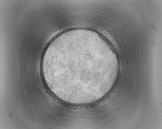 X0000115360434200912011116