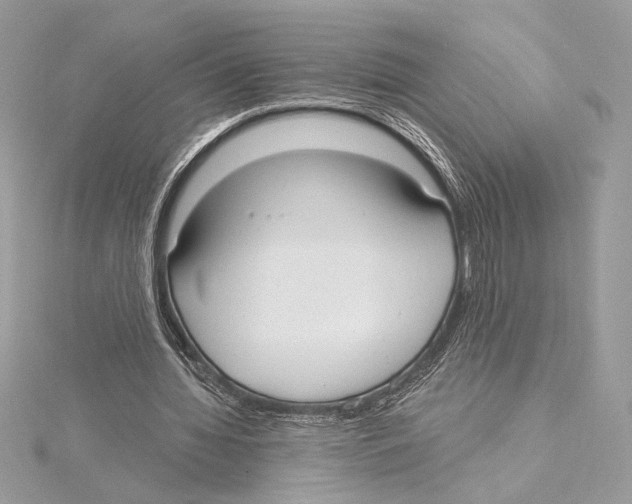 X0000115360436200912011116