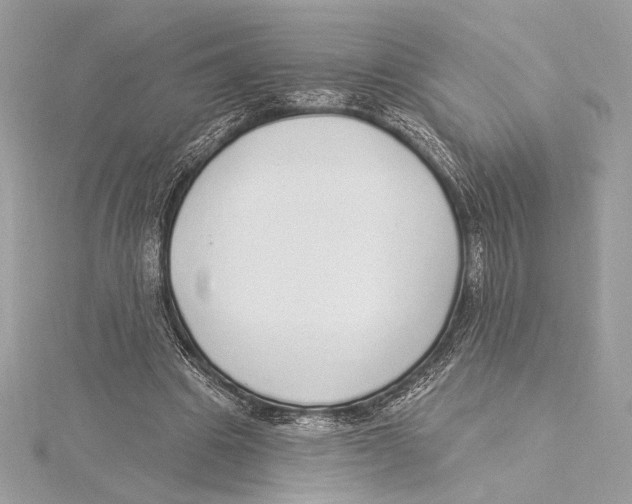 X0000115360441200912011116