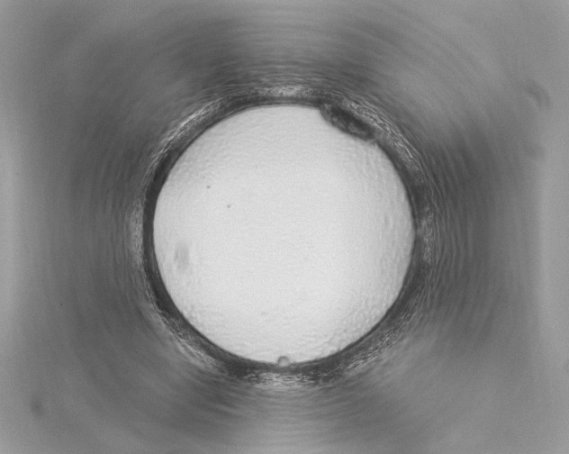 X0000115360442200912011116