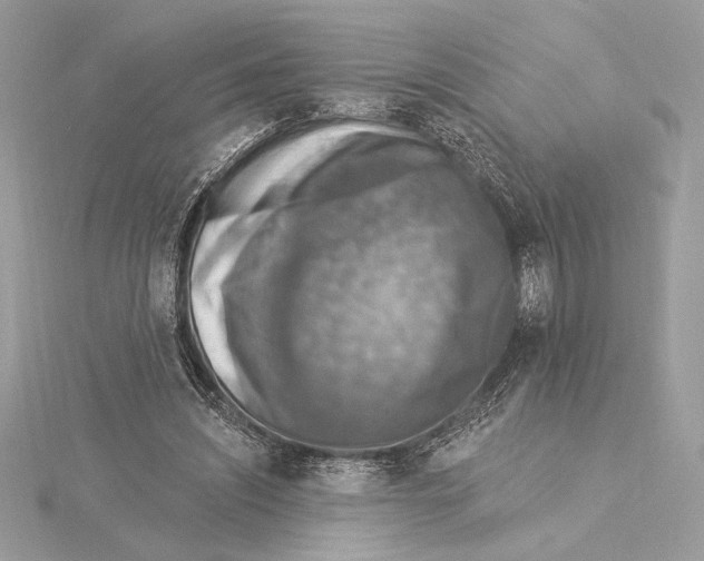 X0000115360444200912011116