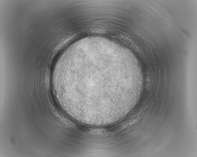 X0000115360446200912011116