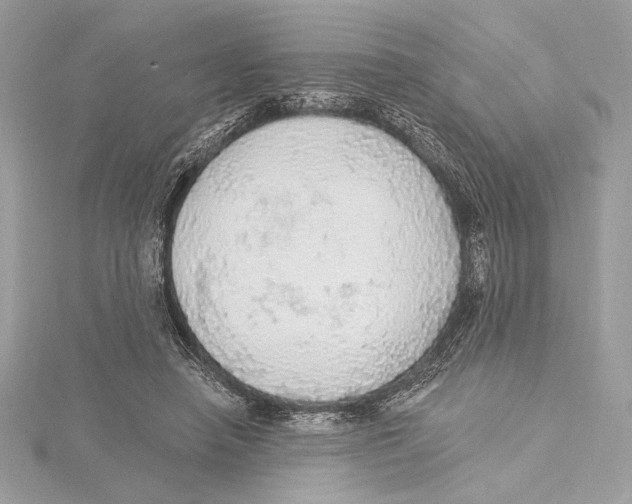 X0000115360450200912011116