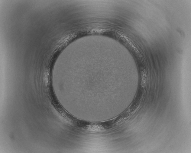 X0000115360451200912011116