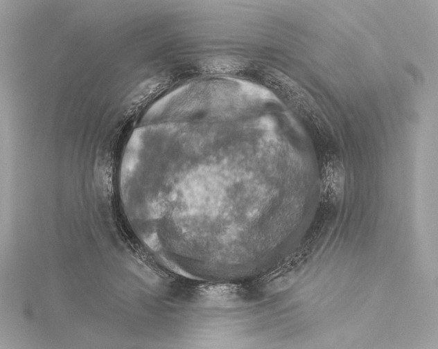 X0000115360452200912011116