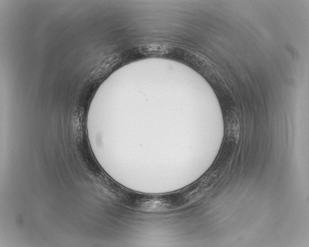 X0000115360460200912011116