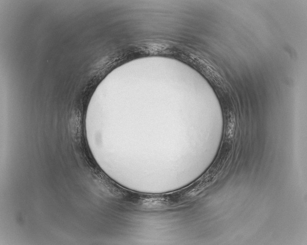 X0000115360461200912011116