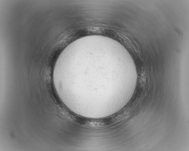 X0000115360466200912011116