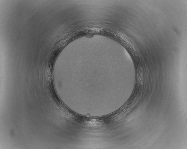 X0000115360467200912011117