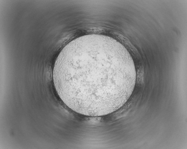 X0000115360474200912011117