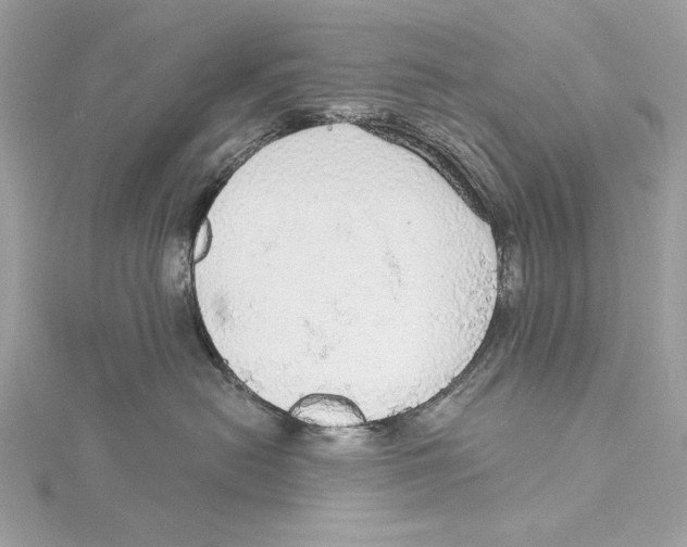 X0000115360478200912011117
