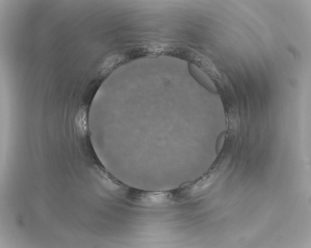 X0000115360479200912011117
