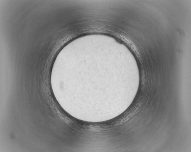 X0000115360481200912011116