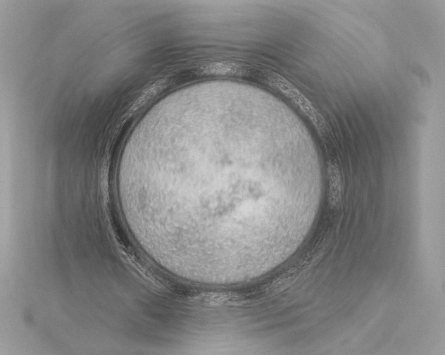 X0000115360482200912011116