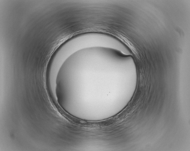 X0000115360485200912011116