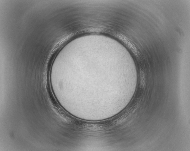 X0000115360486200912011116