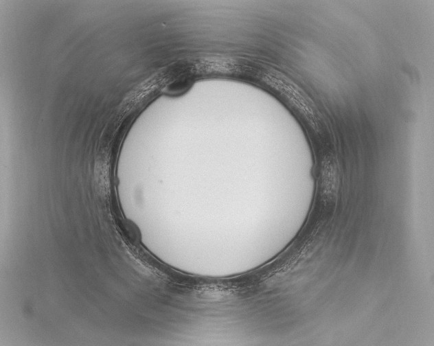 X0000115360489200912011116