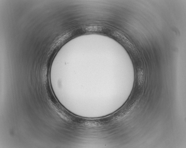 X0000115360490200912011116