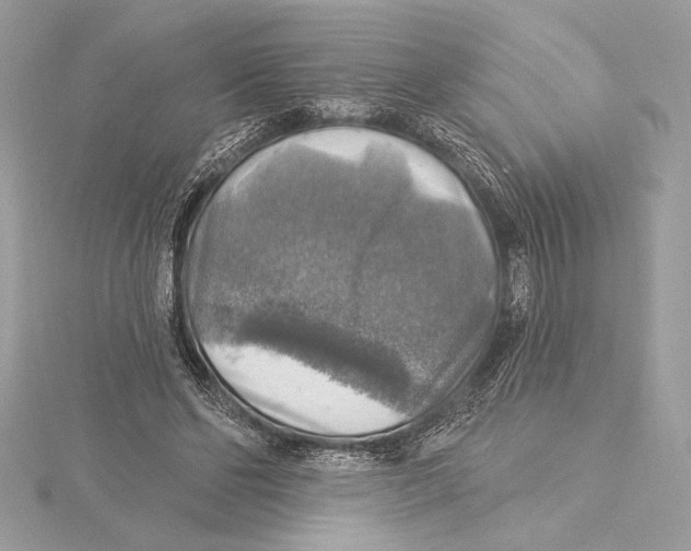 X0000115360494200912011116