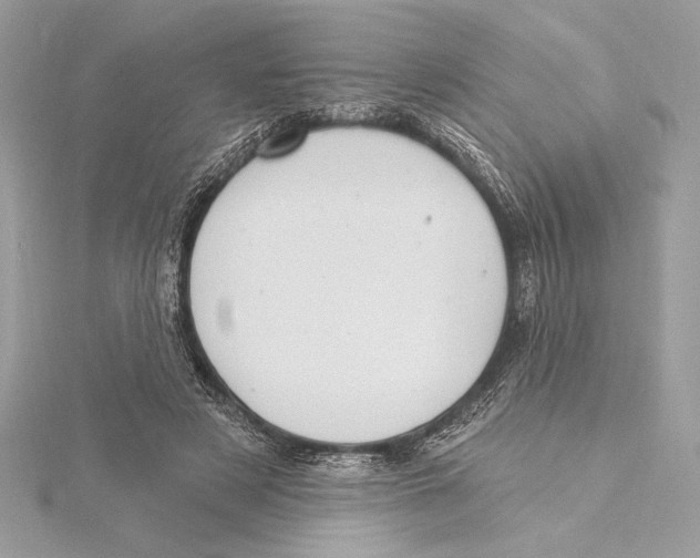 X0000115360497200912011116