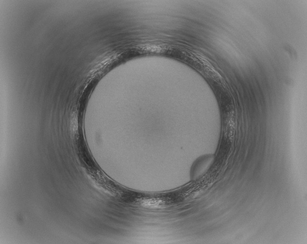 X0000115360500200912011116