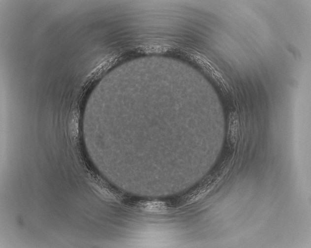 X0000115360501200912011116