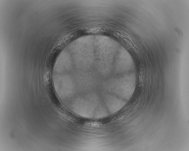 X0000115360503200912011116