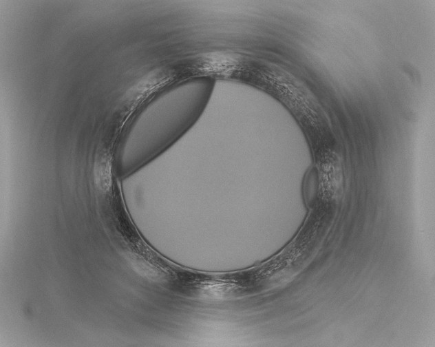 X0000115360504200912011116