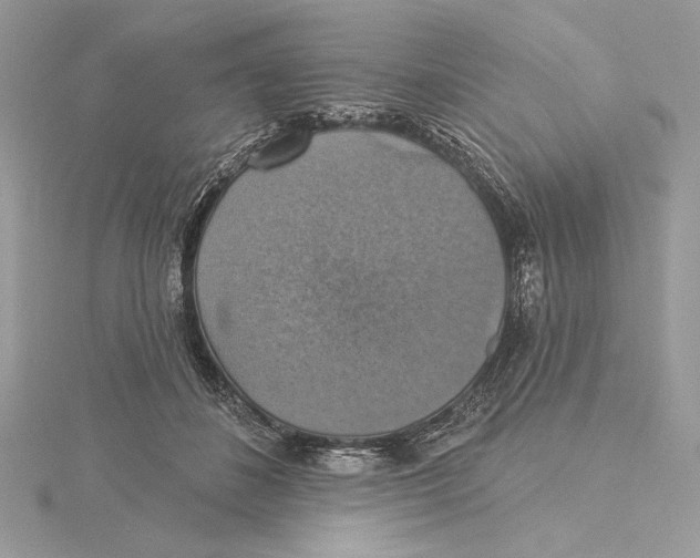 X0000115360508200912011116