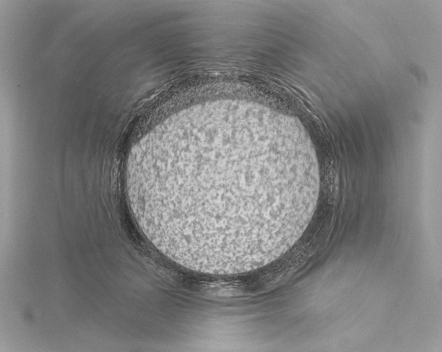 X0000115360511200912011116