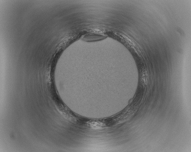 X0000115360512200912011115