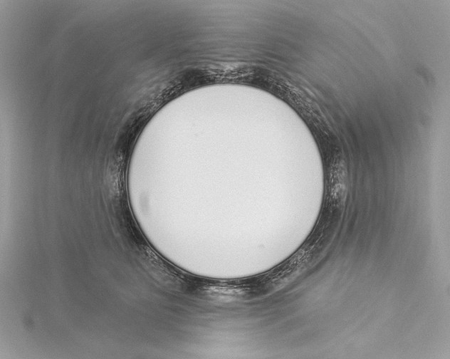 X0000115360515200912011115