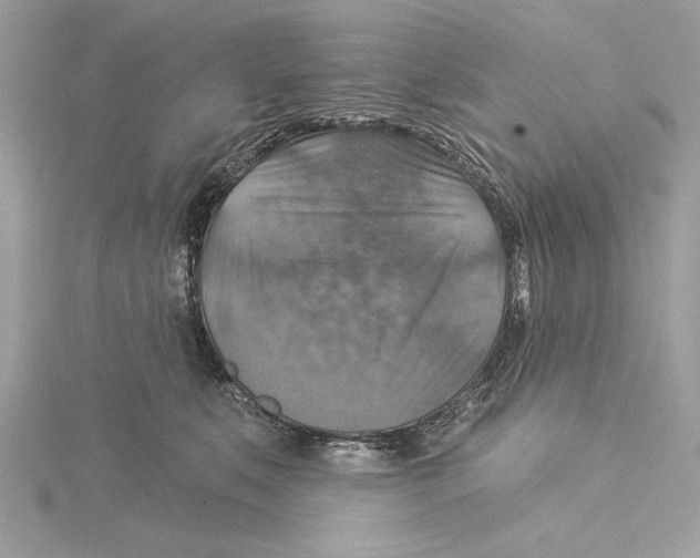 X0000115360519200912011115
