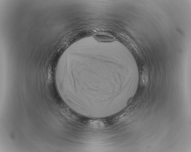 X0000115360520200912011115