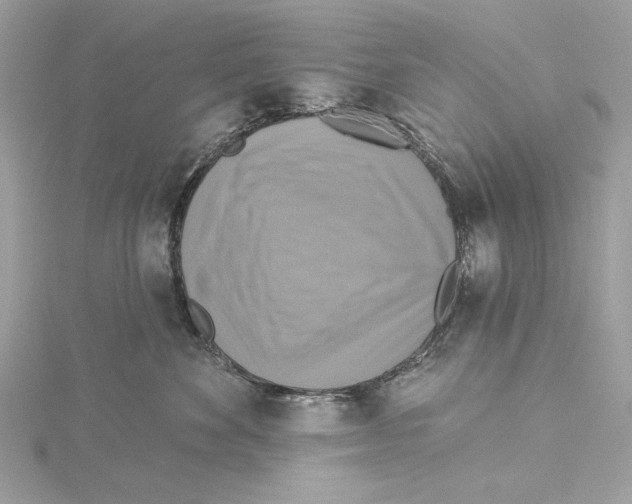 X0000115360524200912011115