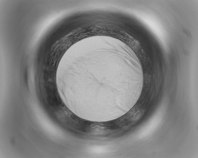 X0000115360526200912011115