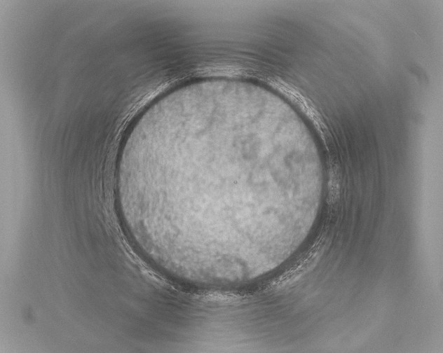 X0000115360529200912011115