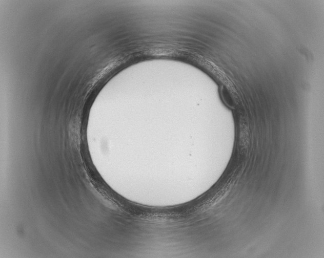 X0000115360530200912011115
