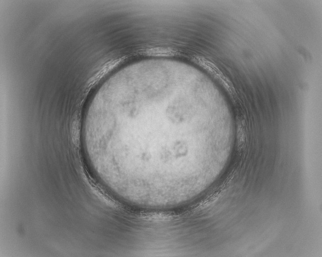 X0000115360533200912011115