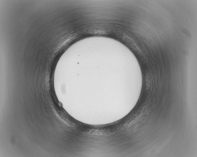 X0000115360538200912011115