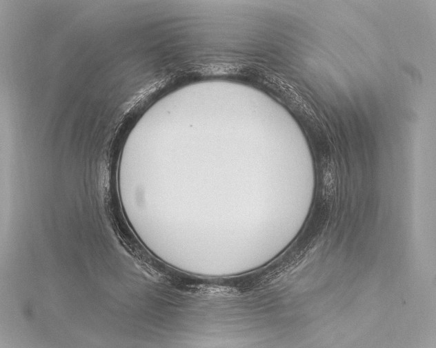 X0000115360539200912011115