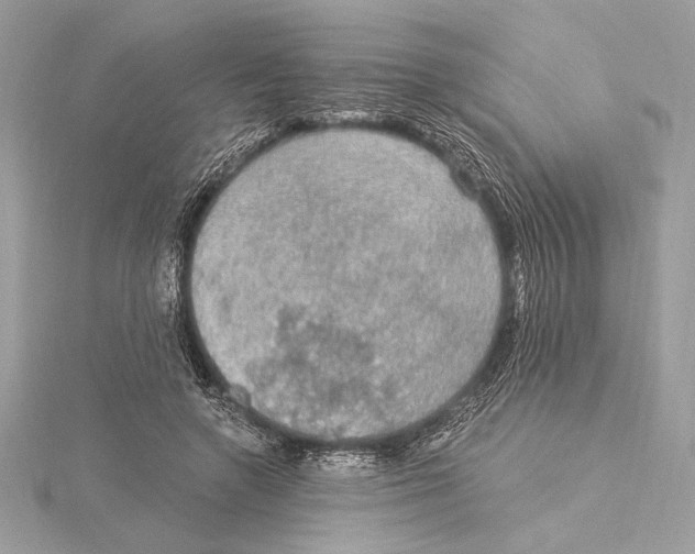X0000115360546200912011115