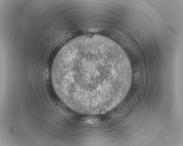 X0000115360555200912011115