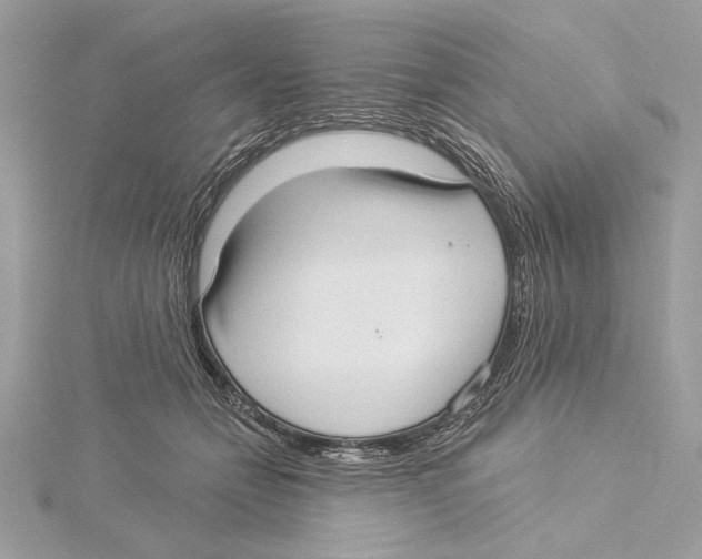 X0000115360558200912011115